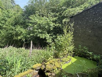 Picture 27